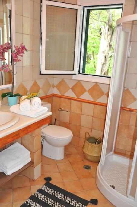 Villa Erietta Near Lefkas Center Apolpaina Ngoại thất bức ảnh