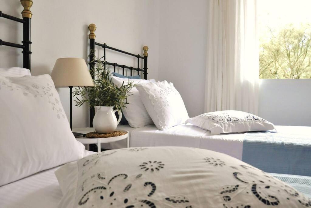 Villa Erietta Near Lefkas Center Apolpaina Ngoại thất bức ảnh