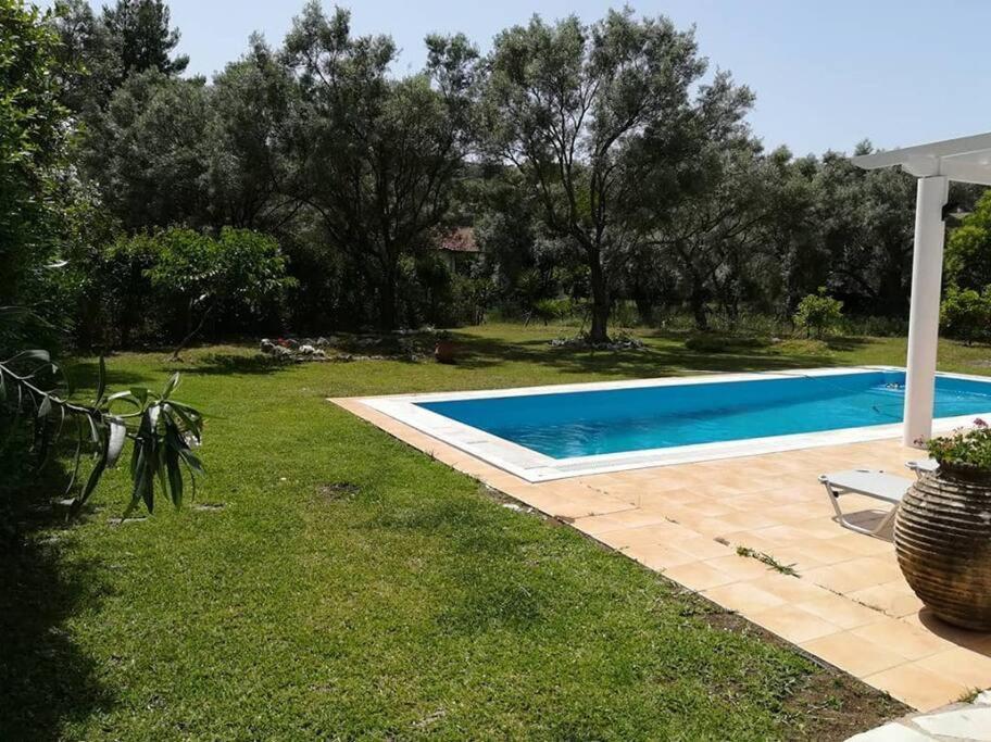 Villa Erietta Near Lefkas Center Apolpaina Ngoại thất bức ảnh